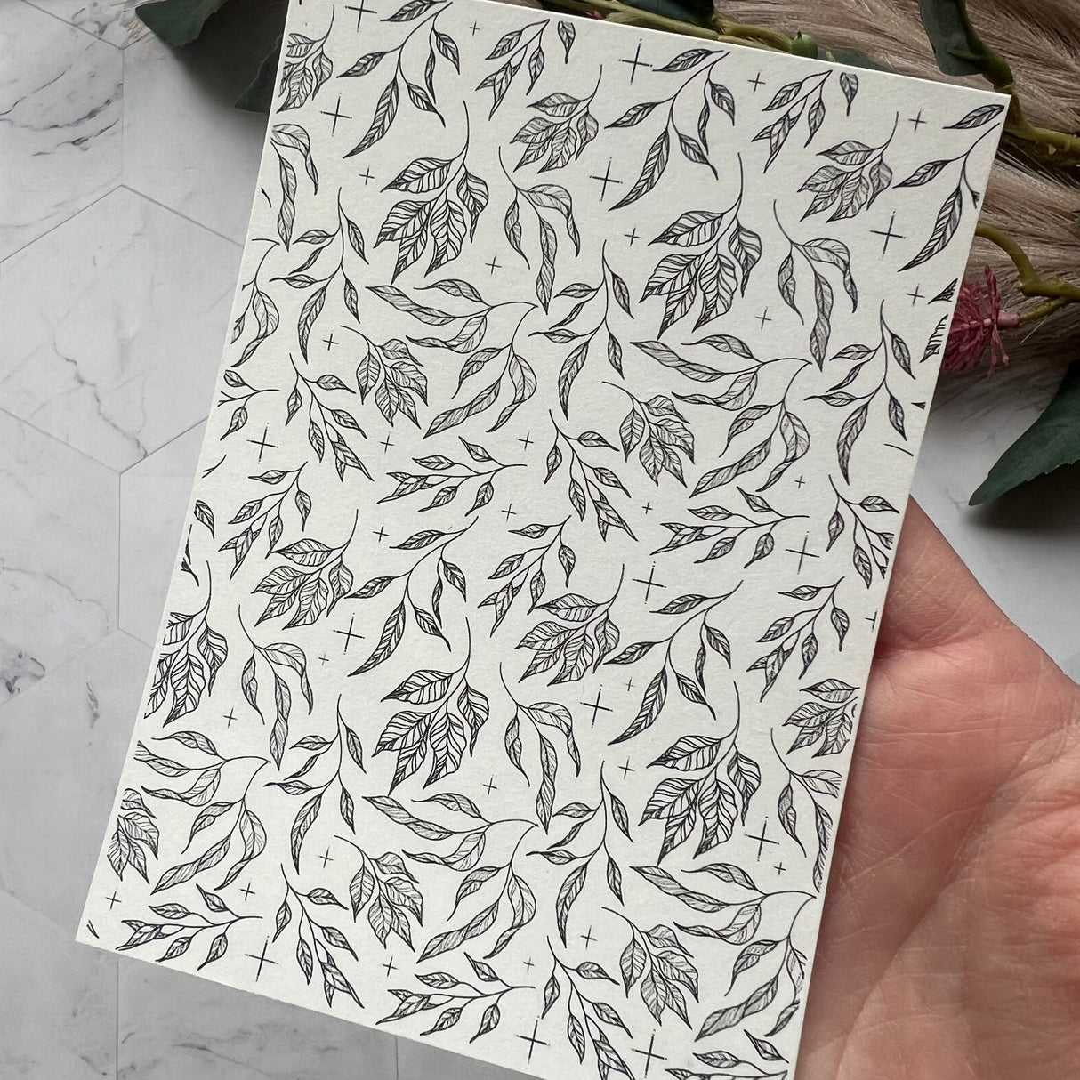 Eucalyptus Leaves - Water Soluble Transfer