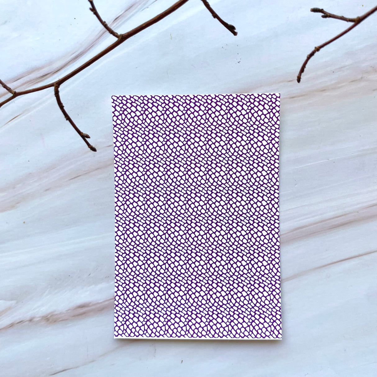 Snake Skin - Water Soluble Transfer