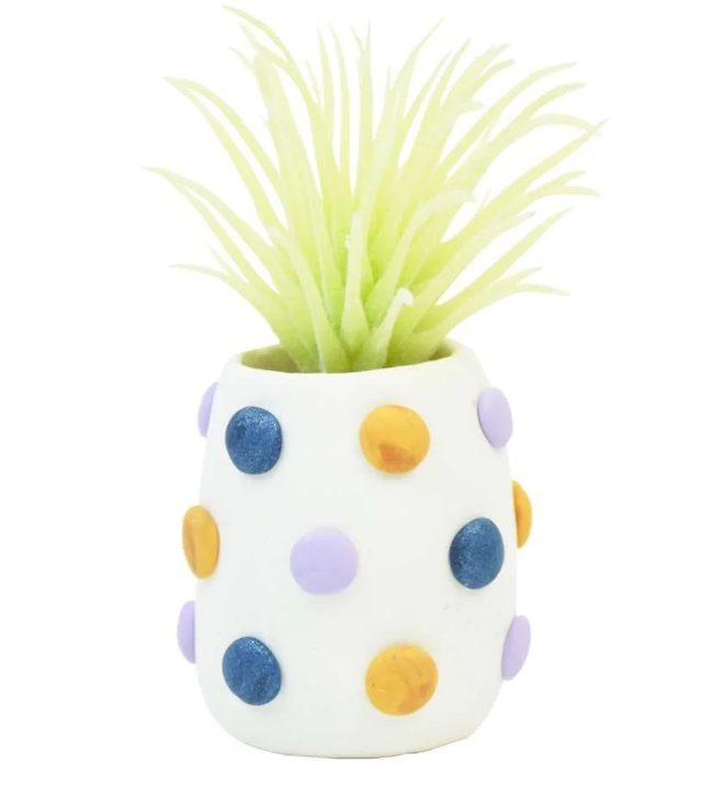Succulent Pots Kit - Sculpey III Polymer Clay