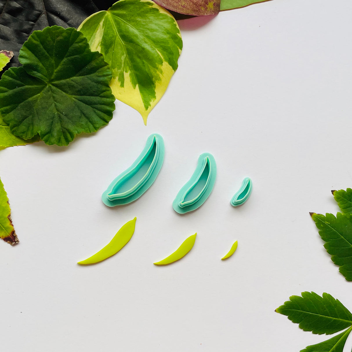 Gum Leaf Cutter