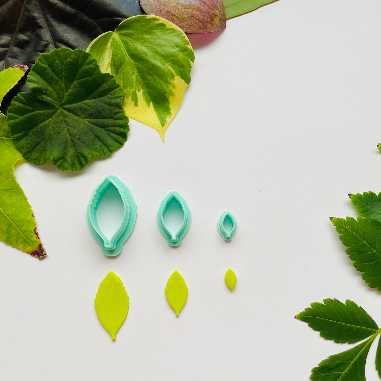Golden Dewdrop Leaf Cutter