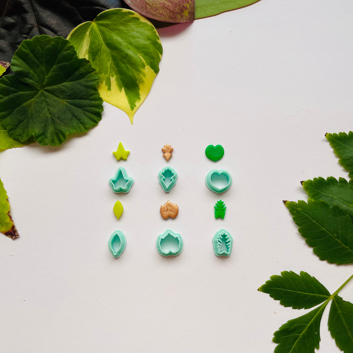 Botanic Kingdom #1 Stud Pack
