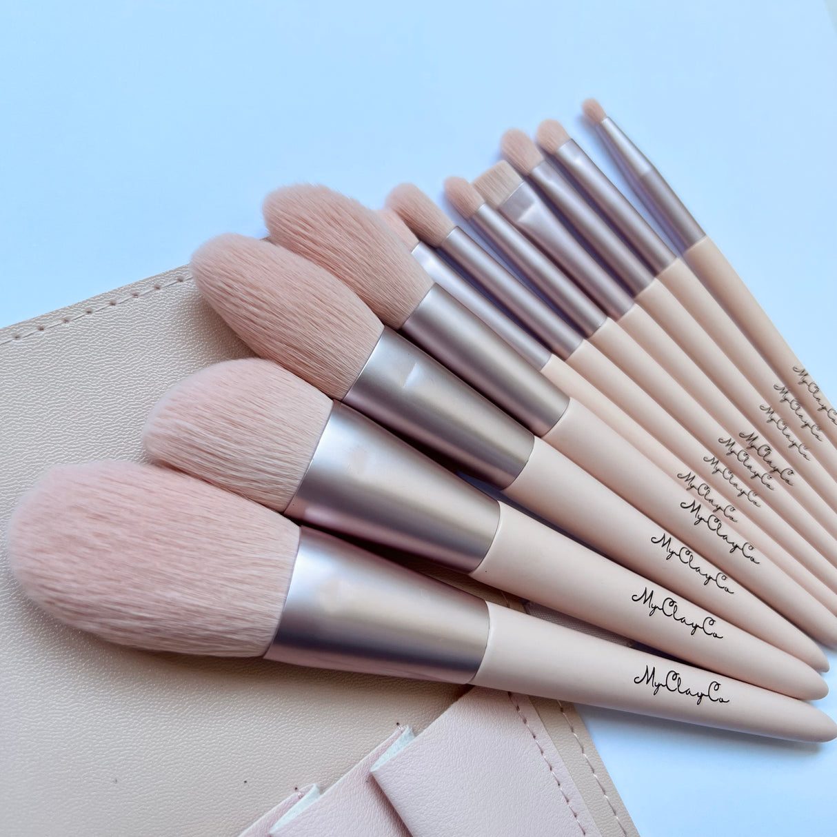 11 Piece Brush Set