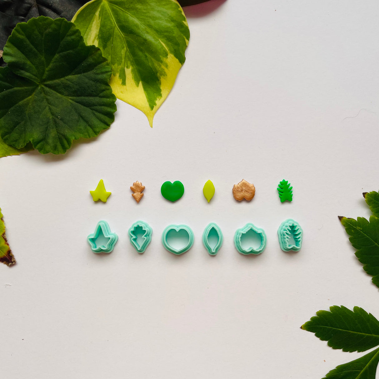 Botanic Kingdom #1 Stud Pack