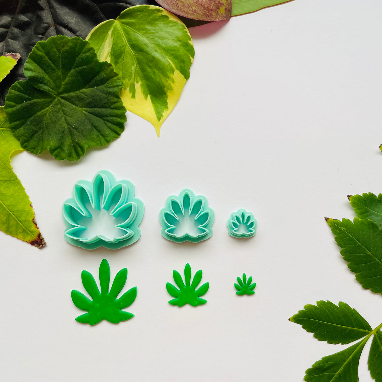 Paperplant Leaf Cutter