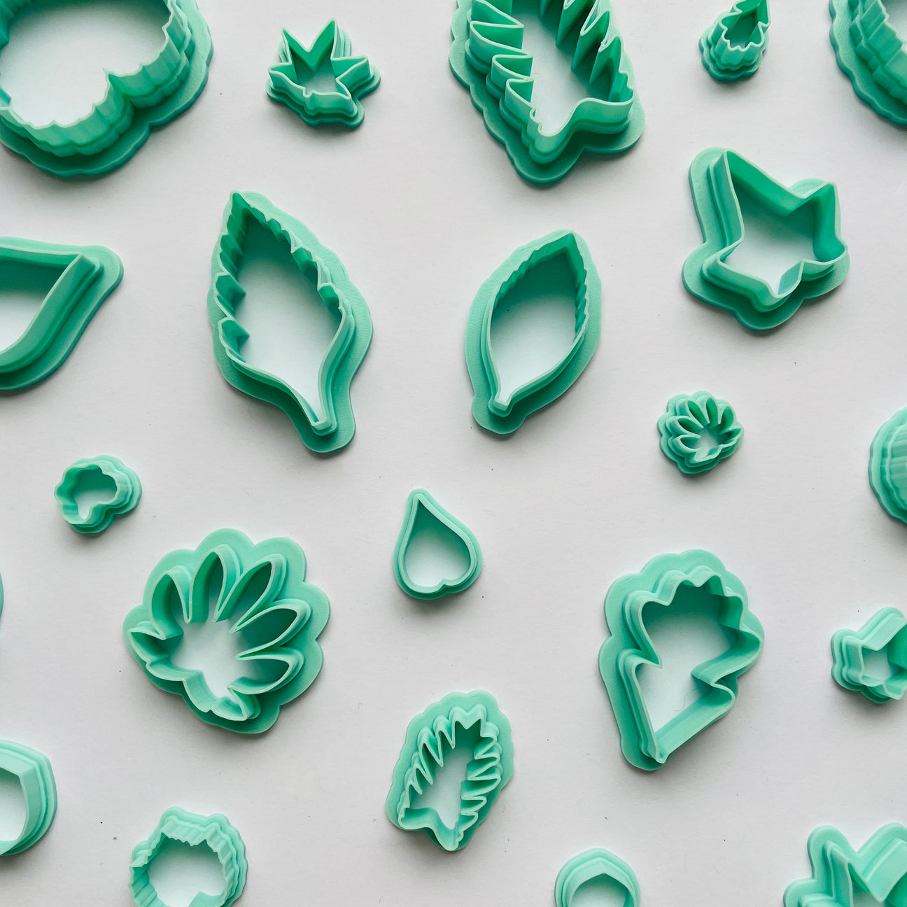 Botanic Kingdom Collection