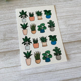 Pot Plants - Water Soluble Transfer