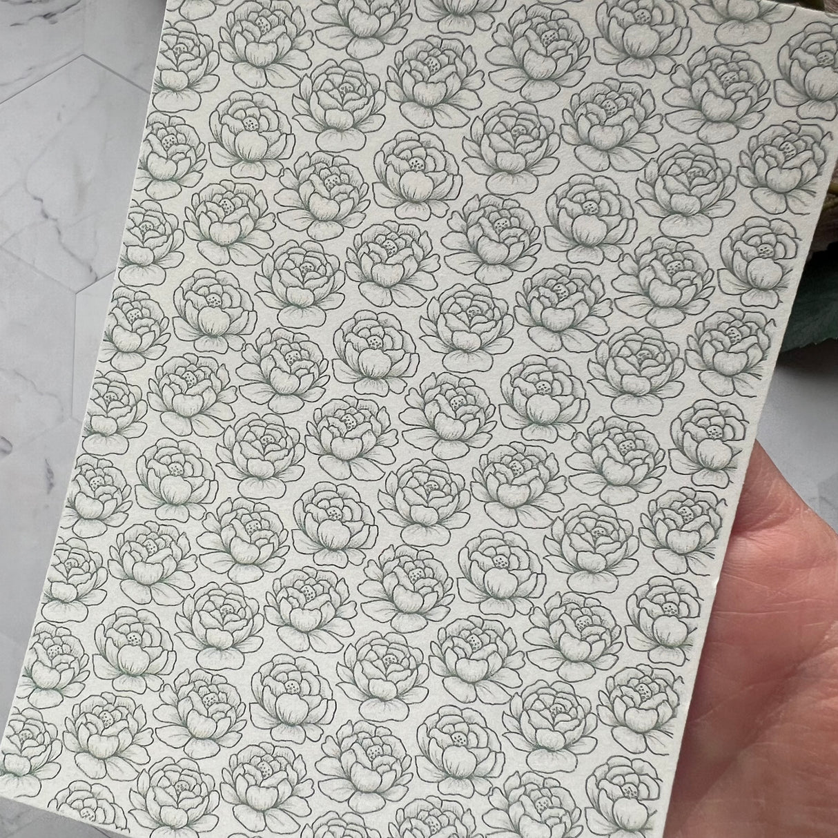 Peony - Water Soluble Transfer