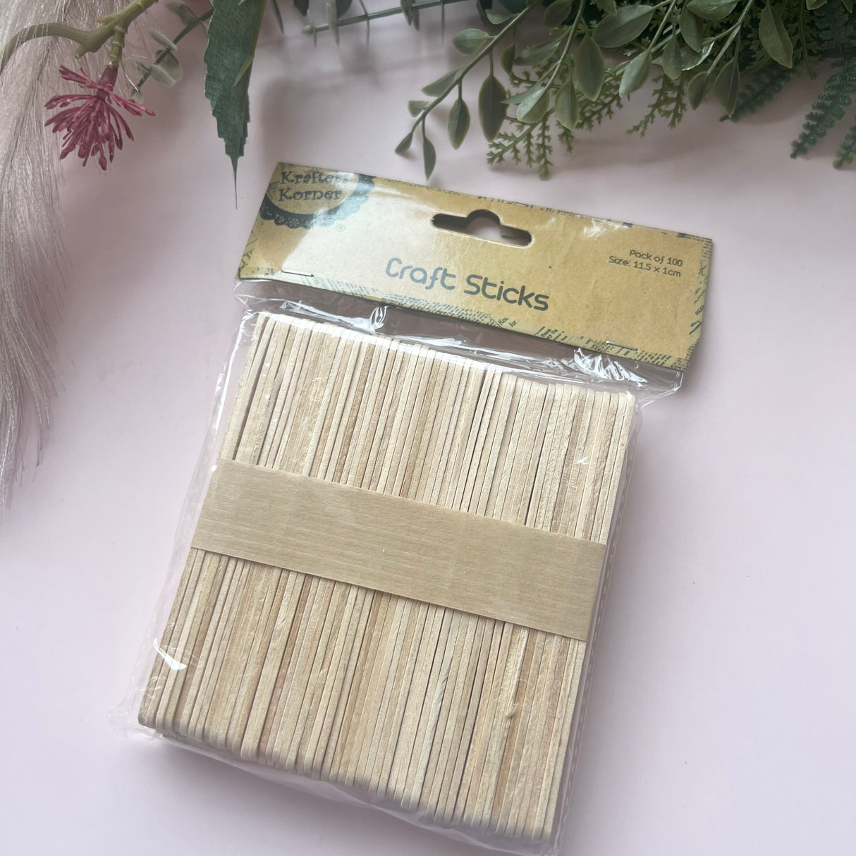 Secret Stash Item - Craft Sticks (aka pop sticks)