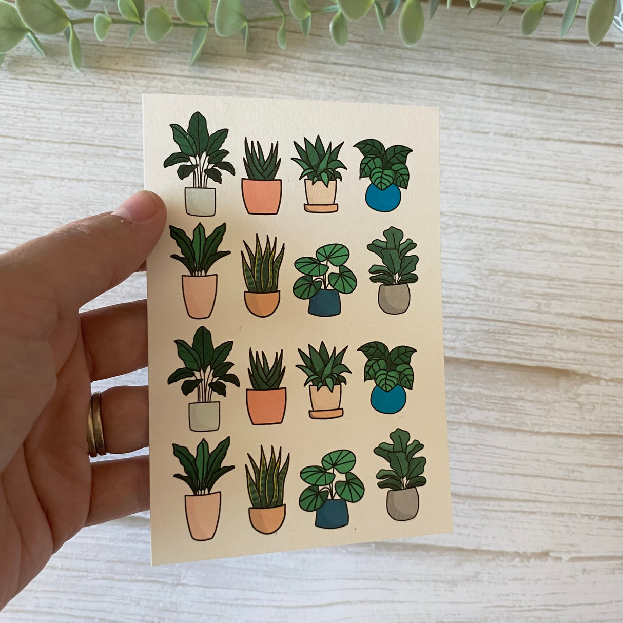 Pot Plants - Water Soluble Transfer