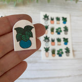 Pot Plants - Water Soluble Transfer