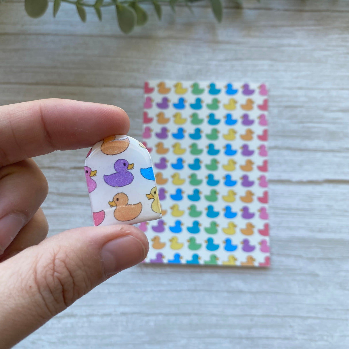 Rubber Ducky in Rainbow - Water Soluble Transfer