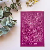 Cobweb (SS038) Silk Screen