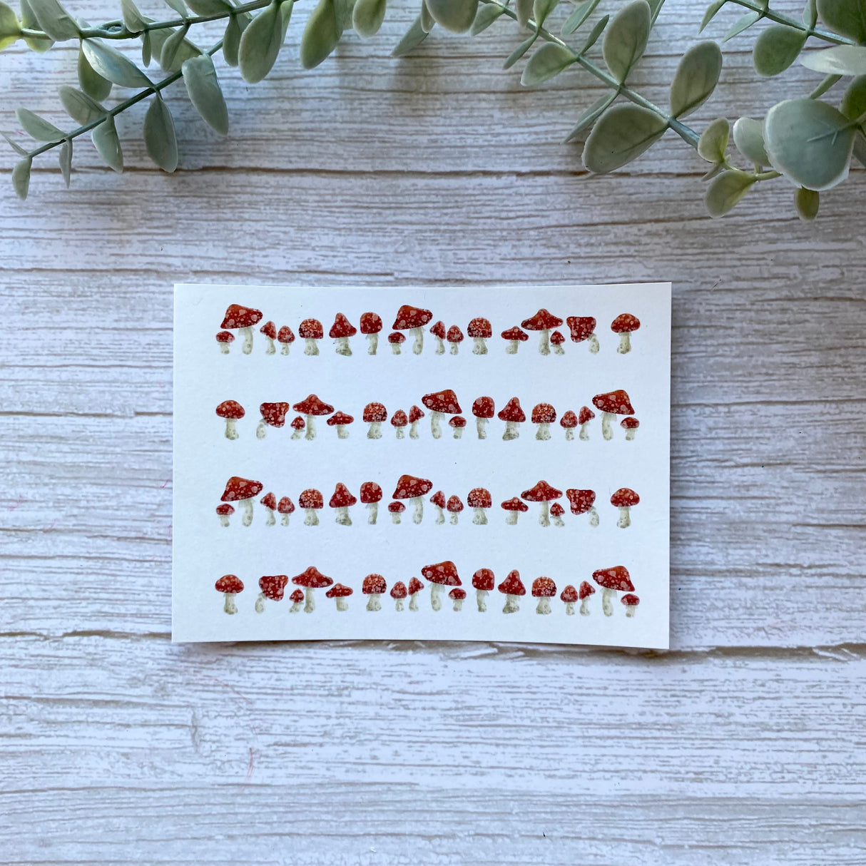 Field of Mushrooms - Water Soluble Transfer