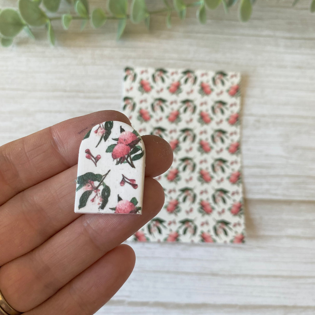 Waratah and Eucalyptus - Water Soluble Transfer