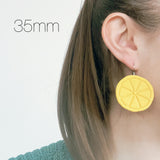 Citrus Slice Cutter