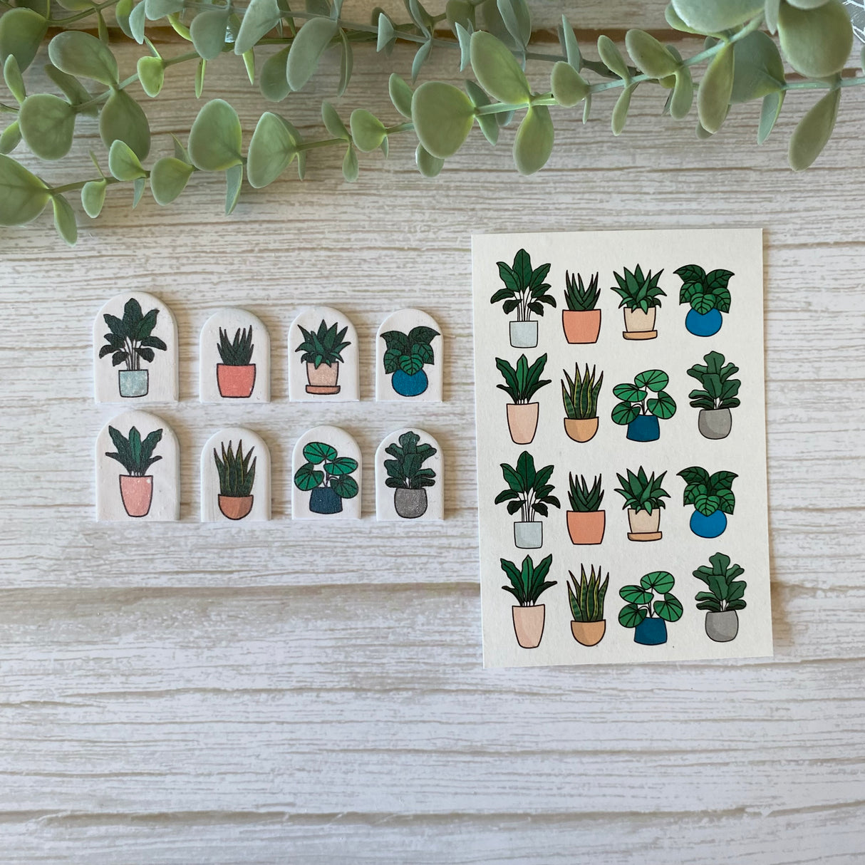 Pot Plants - Water Soluble Transfer
