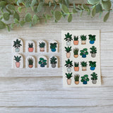 Pot Plants - Water Soluble Transfer