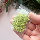 Secret Stash Item - Coloured Jump Rings