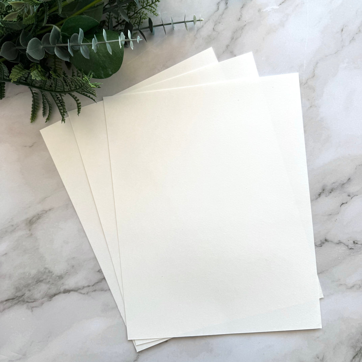 Water Transfer Paper Blanks - pack of 5