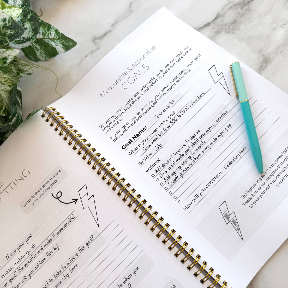 Creative Business Workbook Bundle