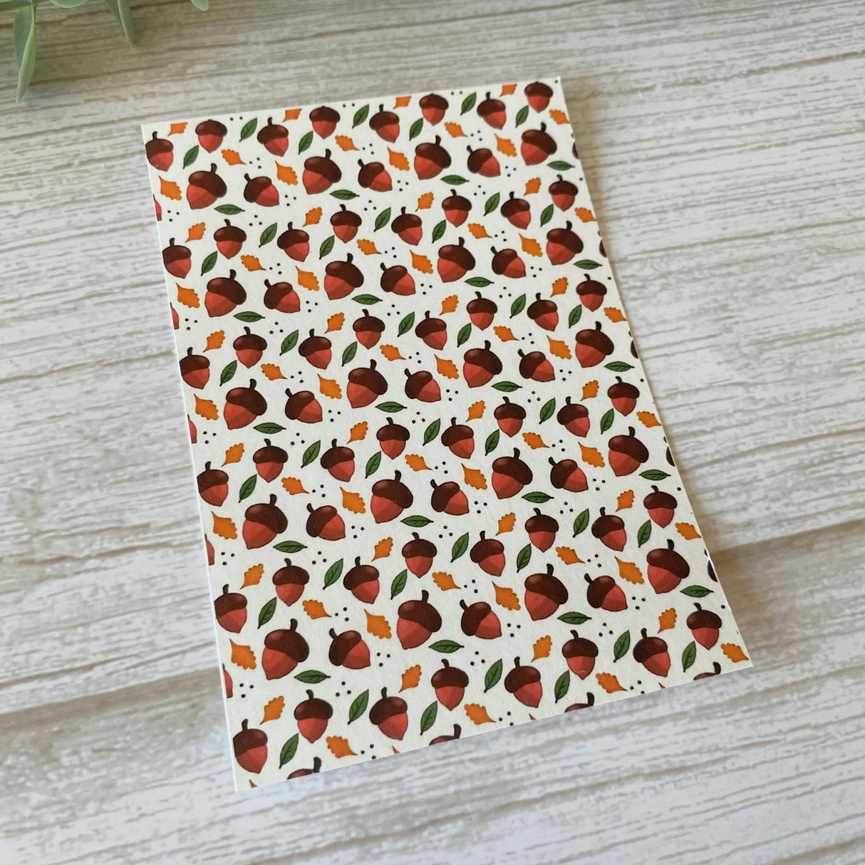 Autumn Acorns - Water Soluble Transfer