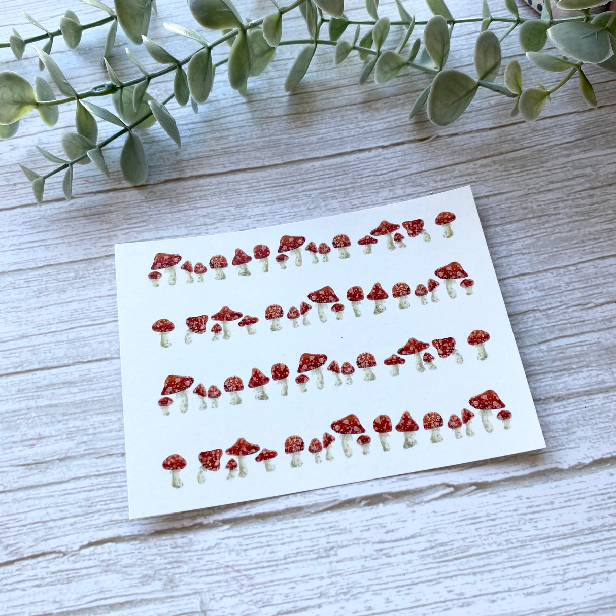 Field of Mushrooms - Water Soluble Transfer