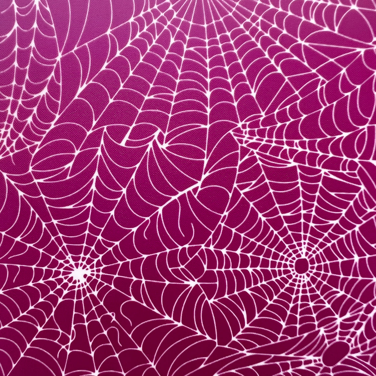 Cobweb (SS038) Silk Screen