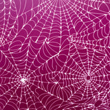 Cobweb (SS038) Silk Screen