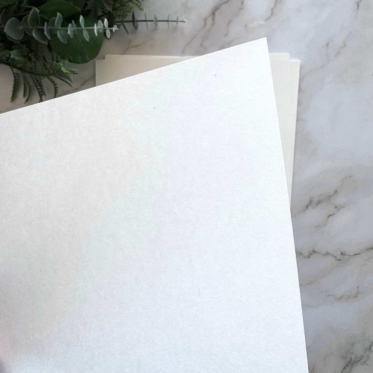 Water Transfer Paper Blanks - pack of 5