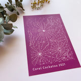 Cobweb (SS038) Silk Screen