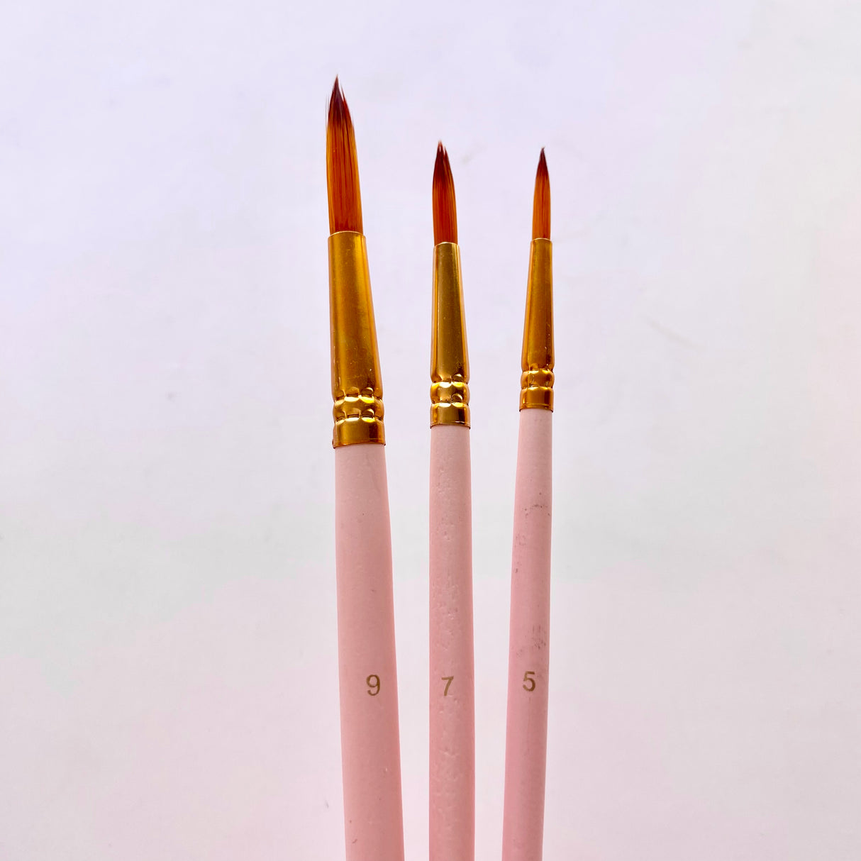 Fine Paint Brush Set
