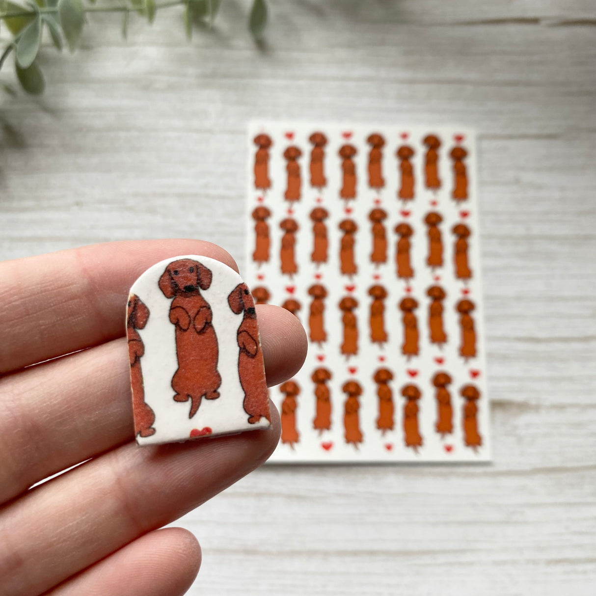 Daschund Love - Water Soluble Transfer
