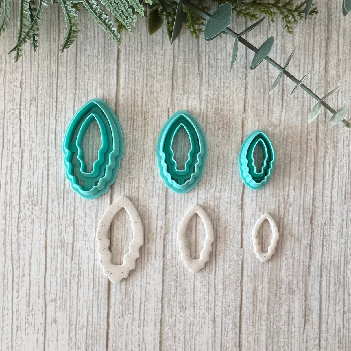Cascading Coastal Squid Hoopla Cutter