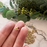 Lobster Clasps 10mm - Gold Plated Stainless Steel - 20 pack