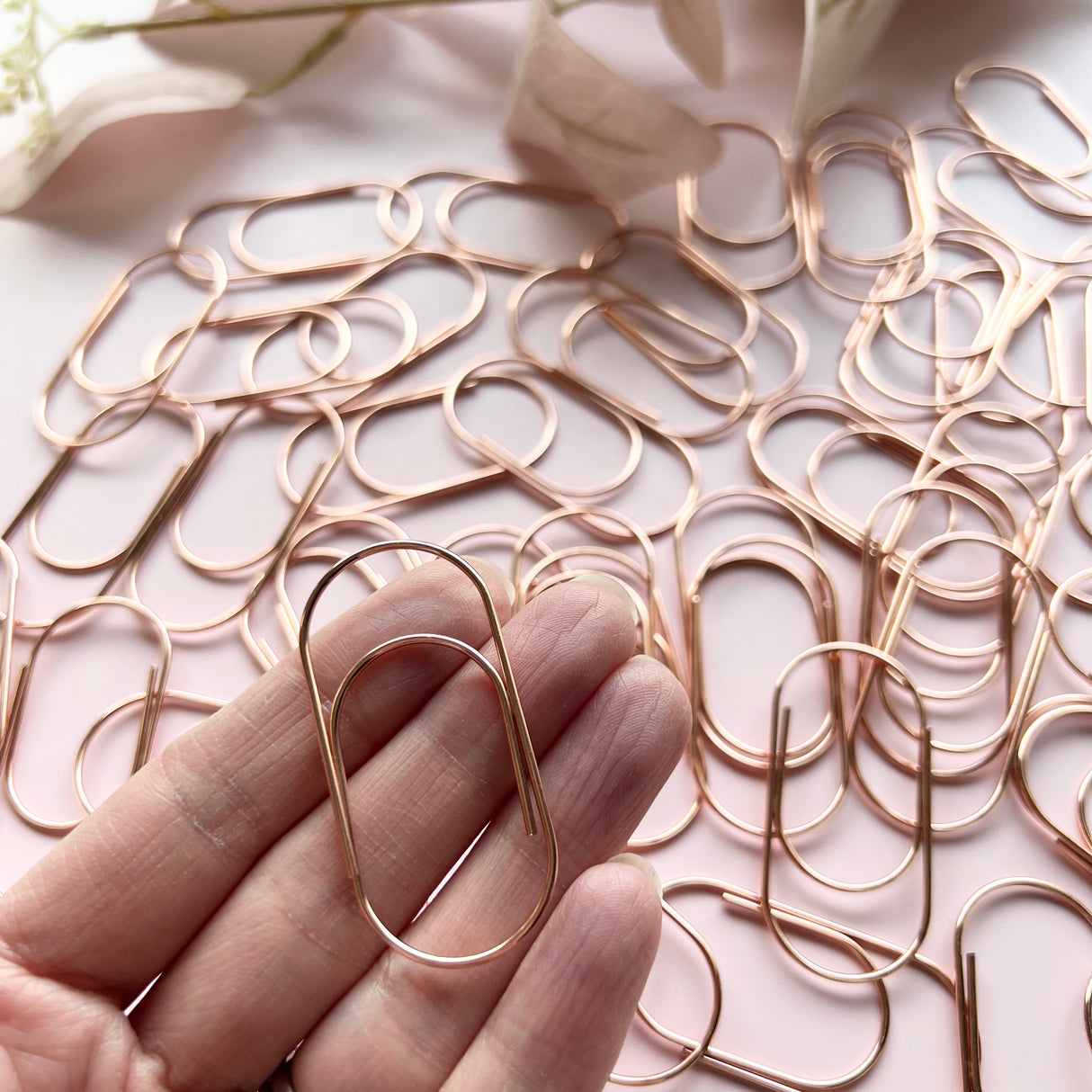 Large Paperclip - 10 pack