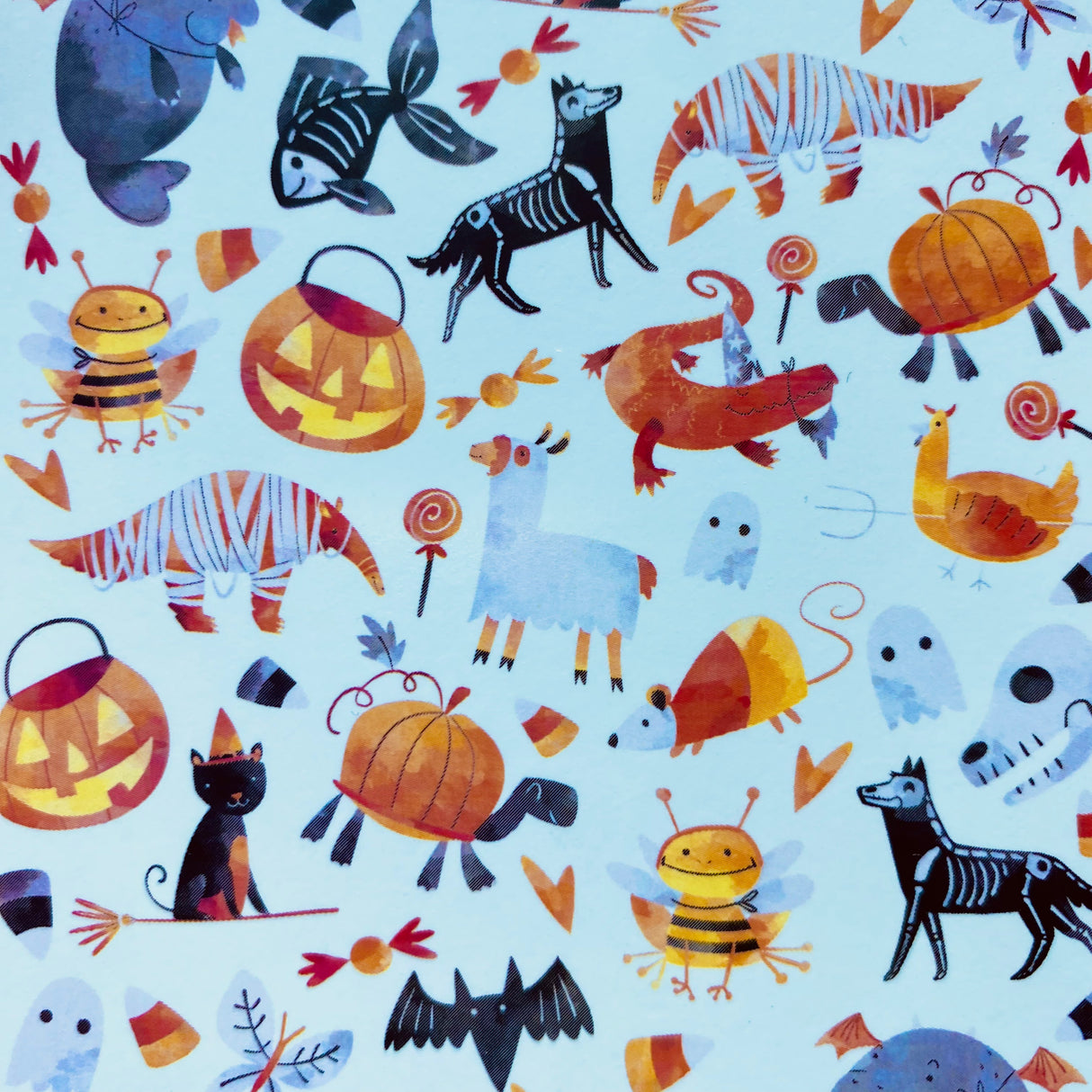 Halloweenie Party Animals Waterslide Transfer Decal
