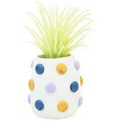 Succulent Pots Kit - Sculpey III Polymer Clay