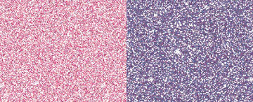 Pearl Ex Pigment - Duo Red-Blue