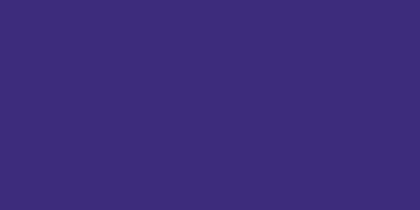 Piñata Alcohol Ink - Blue-Violet (standard postage within Australia only)