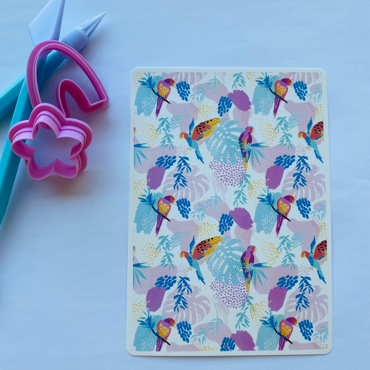 Watercolour Boho Parrots Waterslide Transfer Decal