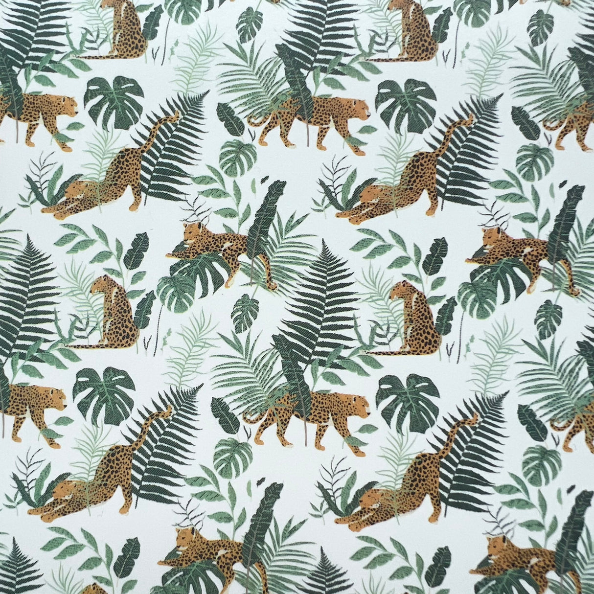 Jungle Leopards Waterslide Transfer Decal