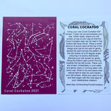 Zodiac Constellations Silk Screen