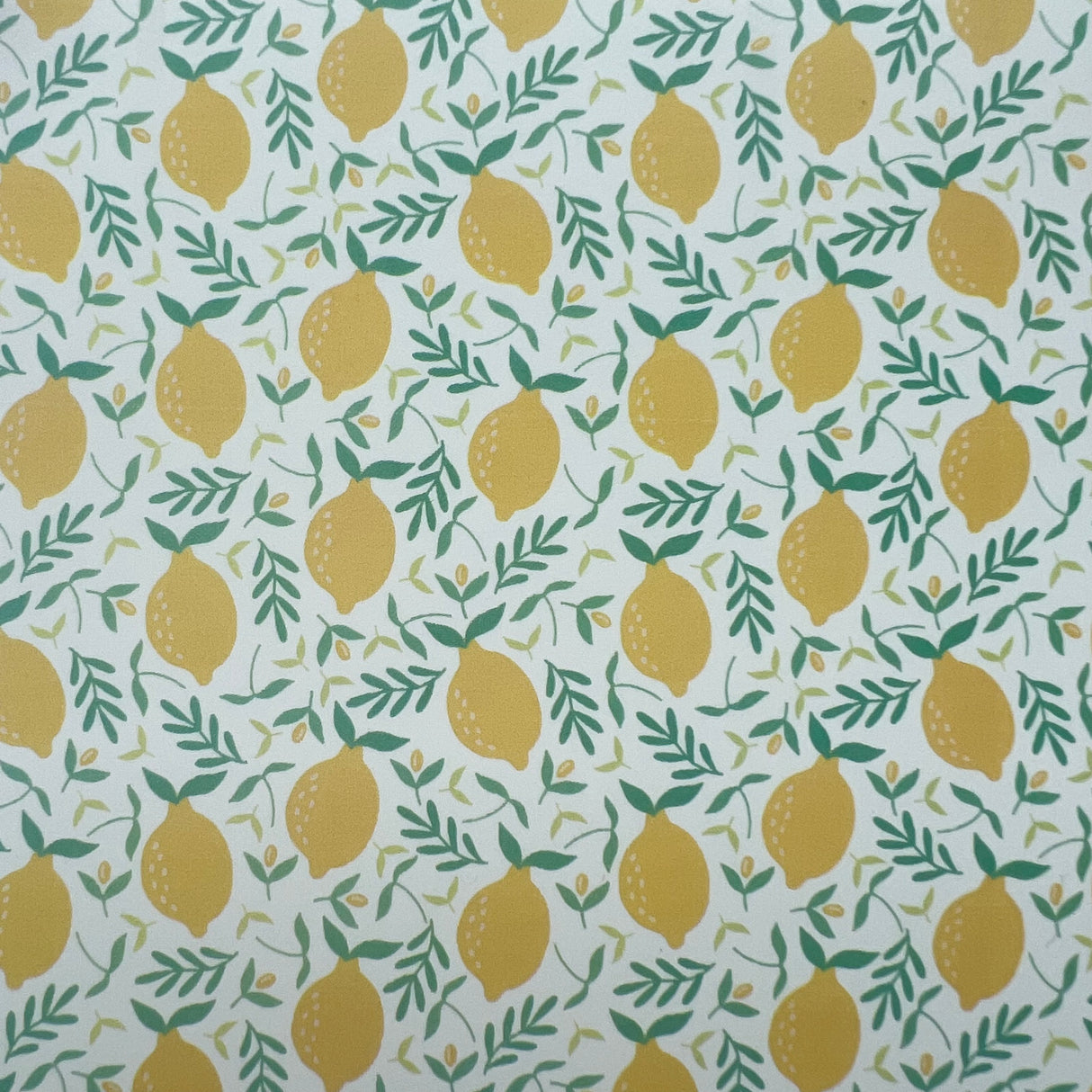 Summer Lemons Waterslide Transfer Decal