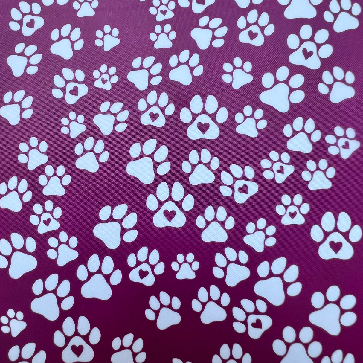 Pawprints of Love Silk Screen