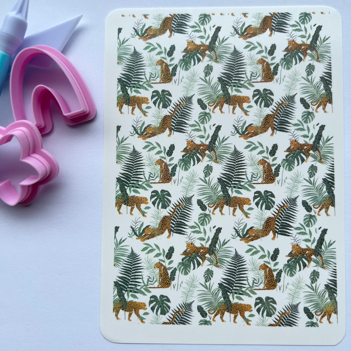 Jungle Leopards Waterslide Transfer Decal