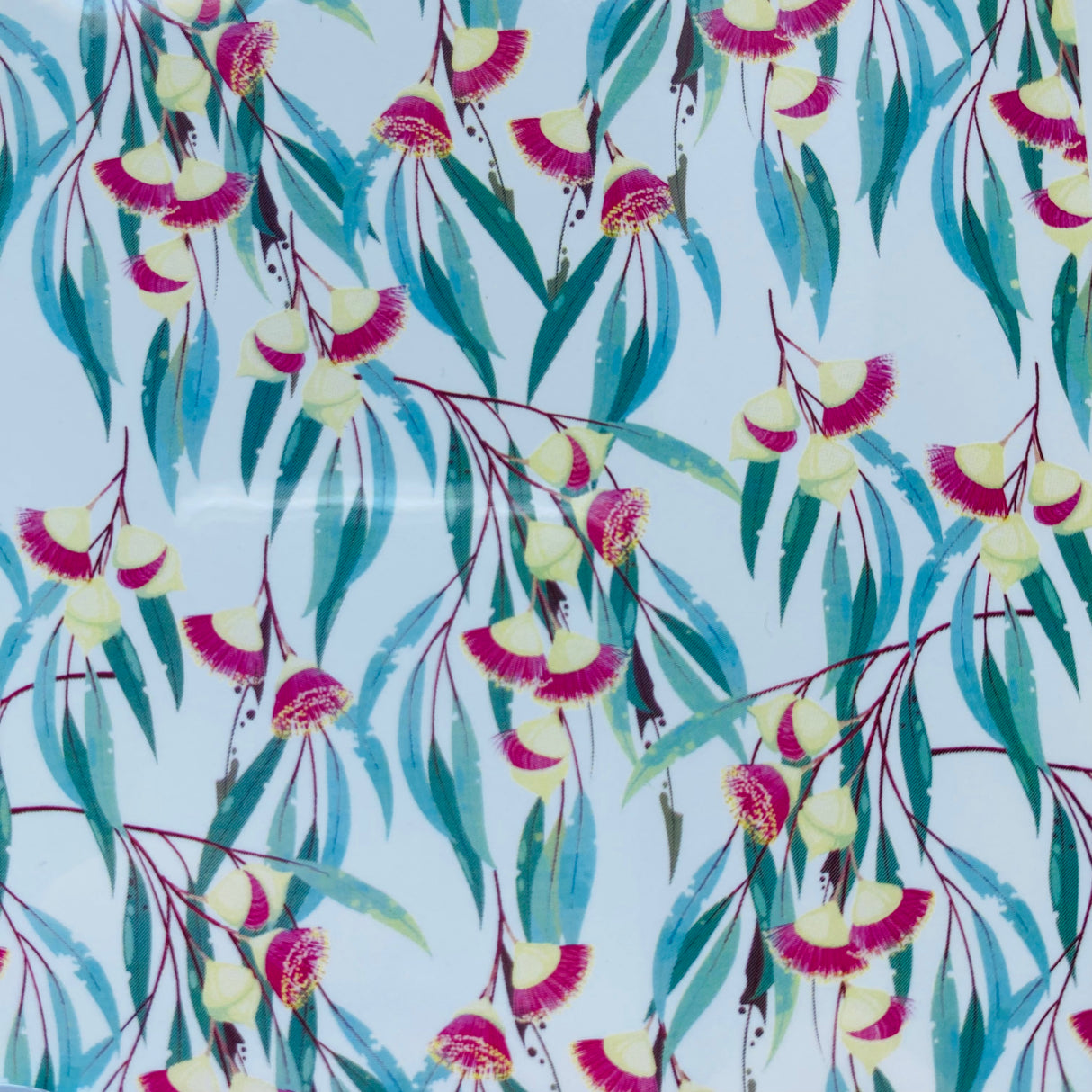 Eucalyptus Blossoms Waterslide Transfer Decal