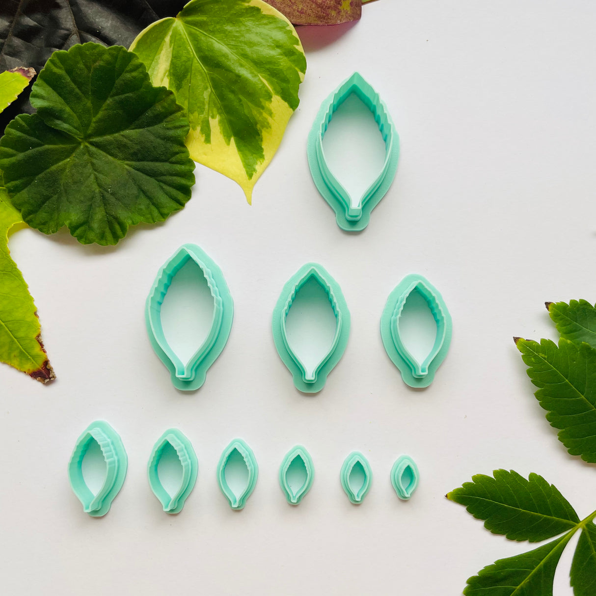 Golden Dewdrop Leaf Cutter