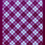 Highland Dancer Plaid Silk Screen