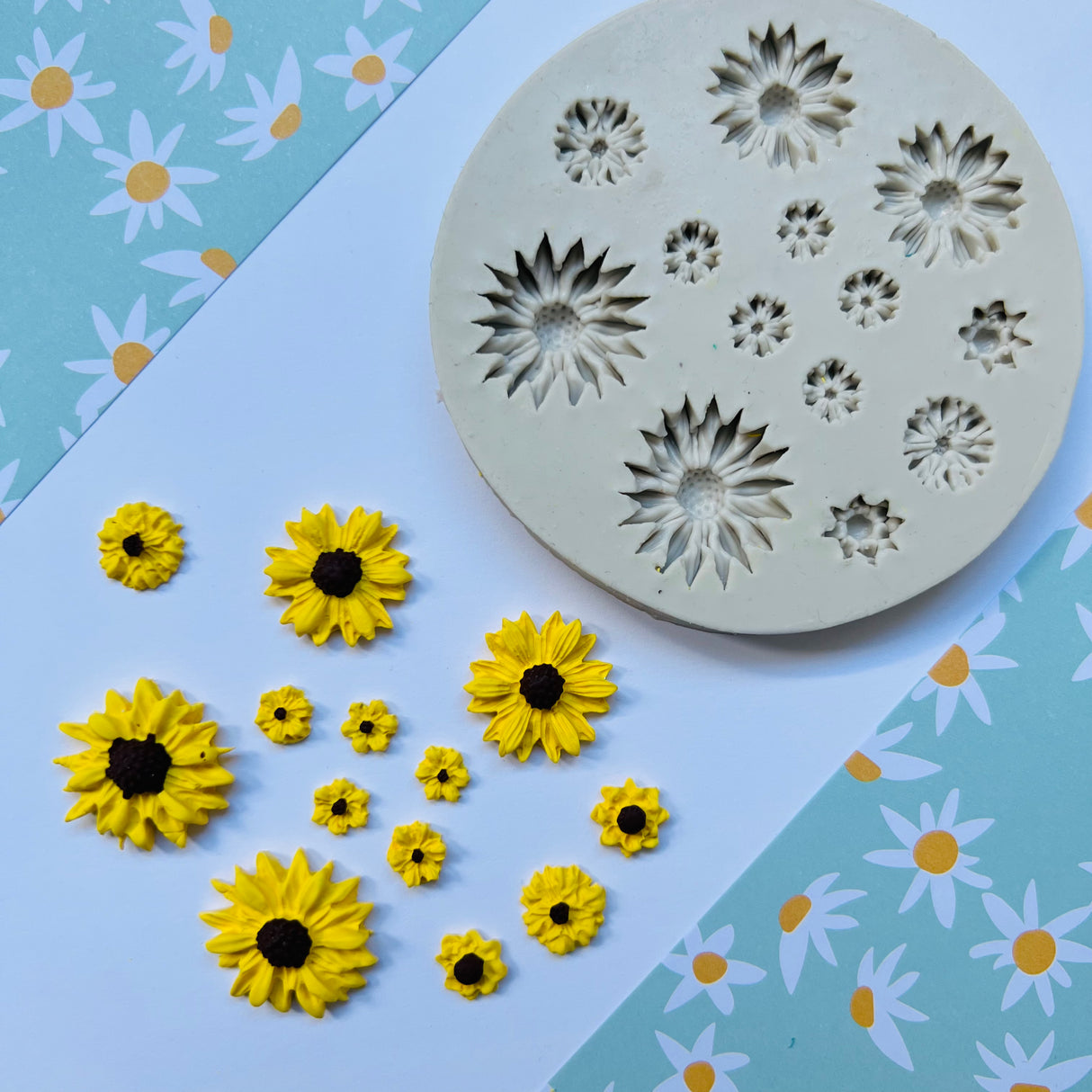 Daisy Mould